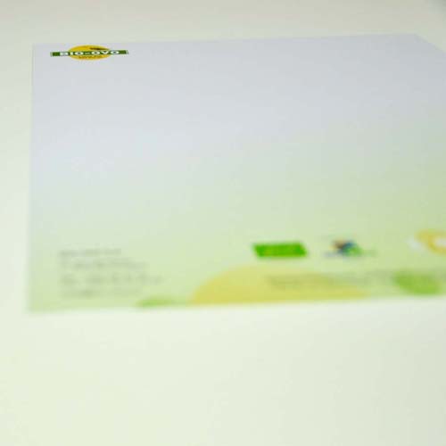 IdentiteVisuel_BioOvo3