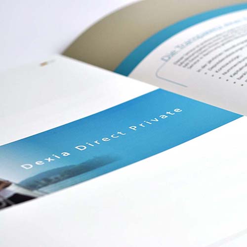 IdentiteVisuel_Dexia2