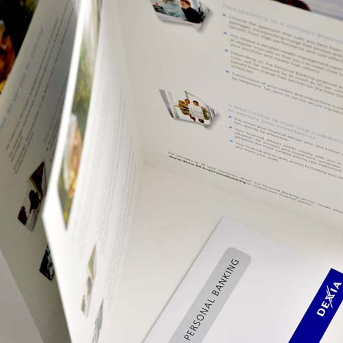 IdentiteVisuel_Dexia5