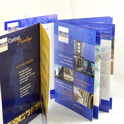 identité visuelle – La forêt