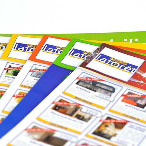 toute-boîte – La forêt