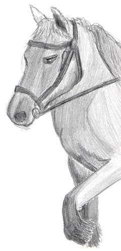 croquis_cheval