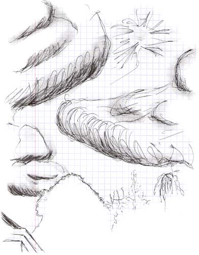 croquis_compo3