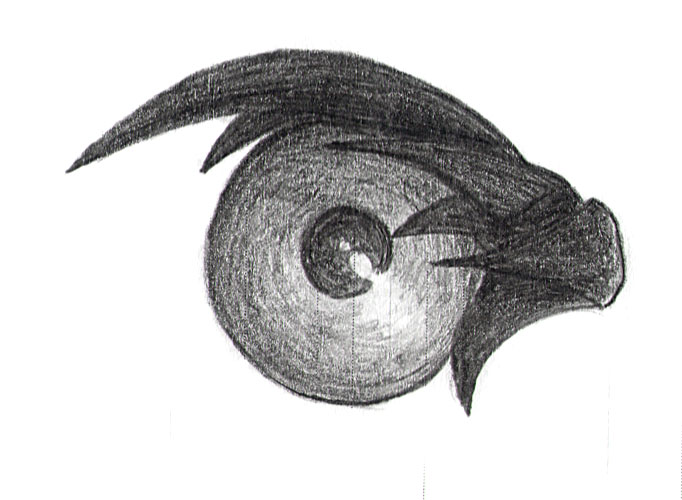croquis_oeil8